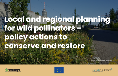 Consultation workshop "Local and regional planning for wild pollinators - policy actions to conserve and restore"