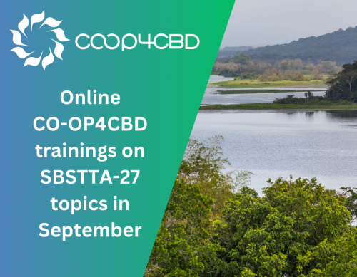 CO-OP4CBD Online Trainings on SBSTTA-27 Agenda Items