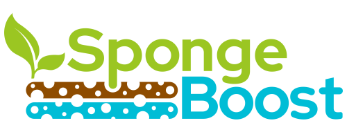 "SpongeBooster of the Year 2027" award